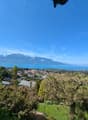 vue depuis balcon