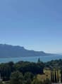 vue depuis balcon