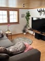 Listing picture