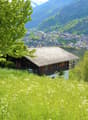 small wooden house, surrounded by grass and trees, mountain view