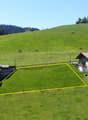 Immagine dell’oggetto