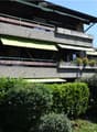 multiple balconies, awnings, windows, garden with hedges