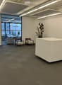 empty room, carpeted floor, white walls, large windows, desk, chairs, plant