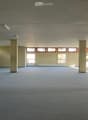 Empty room with carpeted floor, white walls, large windows, and pillars