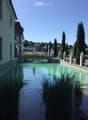 A serene swimming pool surrounded by a low fence, white balusters, and lush greenery, with a modern building in the background and a clear blue sky overhead.