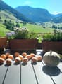 Balcony with a scenic mountain view, decorated with potted plants and a variety of fruits including apricots, a melon, and lemons.