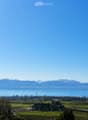 A panoramic view of a vineyard area with rows of grapevines, scattered houses, and a distant lake surrounded by snow-capped mountains under a clear blue sky.