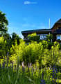 A two-story house with a pitched roof, surrounded by lush greenery and wildflowers under a clear blue sky.