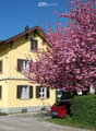 Two-story yellow house with brown shutters and a red-tiled roof, featuring multiple windows and a blooming pink tree in the front yard.