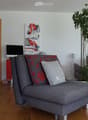 Modern living room with grey sofa, coffee table, screen, plant, cabinet, and artwork.