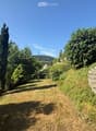 A well-maintained garden with a grassy lawn, tall trees, and a stone staircase leading up a slope.