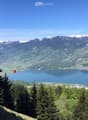 Panoramic view of a serene lake surrounded by lush green forests and snow-capped mountains under a clear blue sky.