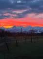 A serene outdoor scene at sunset with snow-capped mountains in the background, a grassy field, scattered trees, and a stone wall on the left side.