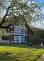 Traditional half-timbered house with blue walls and white trim, surrounded by lush greenery and a large tree with white blossoms. A gravel path leads to the house.