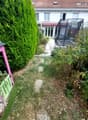A narrow garden path leads to a house with a trampoline in the background. The garden features a tall, trimmed hedge on one side and various plants and shrubs on the other.
