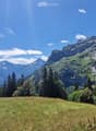 A panoramic view of a lush green meadow surrounded by dense forests and towering mountain peaks under a clear blue sky.