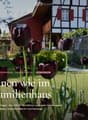 A well-maintained garden with dark red tulips in the foreground, featuring a traditional half-timbered house with red shutters and a greenhouse in the background.
