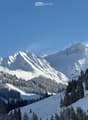 Snow-covered mountain landscape with dense evergreen forest, clear blue sky, and ski lift visible in the distance.