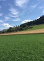 A peaceful rural landscape with green fields, scattered trees, and a few houses in the distance under a partly cloudy sky.