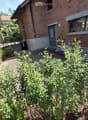 A small garden area in front of a brick building, featuring a gravel pathway, green shrubs, and a small bench. The building has a modern design with large windows and a raised entrance.