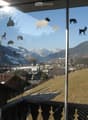 View from a balcony or window with printed images of animals and mountains