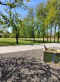 Outdoor area with gravel ground, trees, and a small green container.