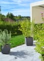 Well-maintained garden with potted plants, a neatly trimmed lawn, and a modern outdoor seating area with a table and chairs.