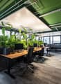 Modern office space with wooden desks, ergonomic chairs, multiple computer setups, and large green plants near large windows.