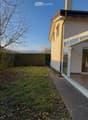 Backyard with a concrete pathway leading to a house entrance, surrounded by a hedge and sparse grass.