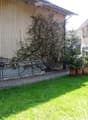 Garden area with green grass, small pathway, wooden house with green door, climbing plants, and decorative elements.