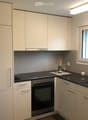 Modern kitchen with white cabinets, black countertops, built-in oven, sink, and decorative items on the counter.
