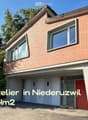2 story house, brick facade, garage, red entrance door, car parked in front