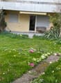 Well-maintained garden with green lawn, colorful flowers, shrubs, and a small bench near the building entrance.