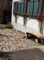 A cobblestone pathway leads to a house entrance, flanked by potted plants and hanging flower baskets. The house features white walls, green shutters, and a small wooden bench near the entrance.