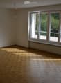 Empty room with wooden herringbone flooring, large windows with white frames, radiator, and a hanging light fixture.