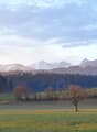 A serene landscape with a grassy field, scattered trees, and distant snow-capped mountains under a partly cloudy sky.