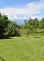 Immagine dell’oggetto