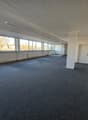 large room with glass windows, white ceiling, gray carpet, fluorescent lighting