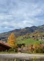 Immagine dell’oggetto