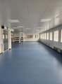 empty, large room, blue floor, white walls, large windows, ceiling lights