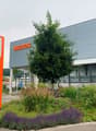 Large Migros supermarket building with several service stores, tree, and well-maintained flower beds in front