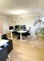 Spacious office space with hardwood floors, white walls, adjustable desks, computers, and a large potted plant. The room appears to have a balcony or terrace visible through the window.