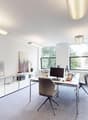 Desk, office chair, computer monitor, computer mouse, white cabinets, office plants