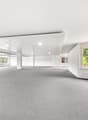 Large open space with gray carpet, white walls, ceiling lights, multiple windows, and a radiator.