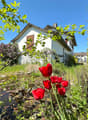 Listing picture