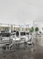 modern office with large windows and views of the outside, glass doors, desks, office chairs, laptops, tables, chairs, plants