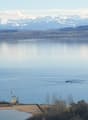 vast lake with clear blue water, mountain range in the background, small dock, ripples