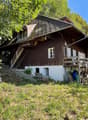 wooden house, wooden staircase, wooden porch, multiple windows, surrounded by grass and trees