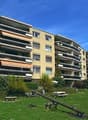 Immagine dell’oggetto