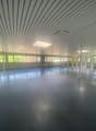 empty room, gray floors, white walls, multiple windows, doors on the right side